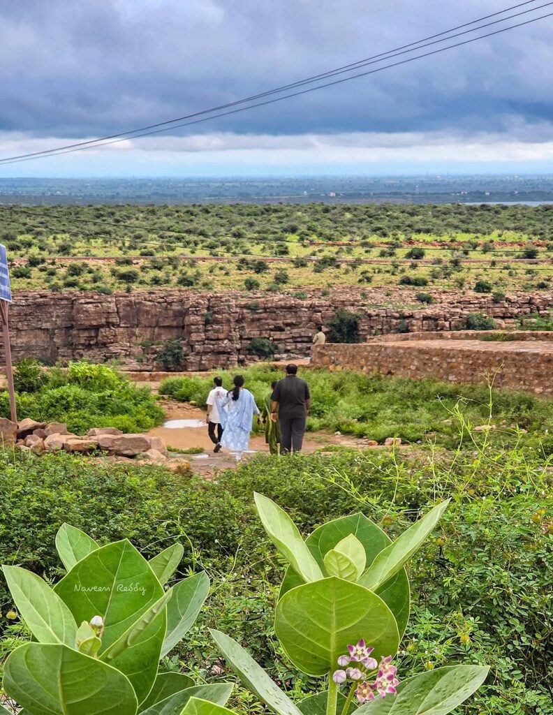 naveen.ankampalli1 1956156640